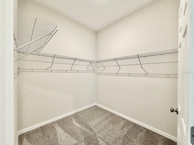 30260 W THYME AVENUE, Eustis, FL 32736