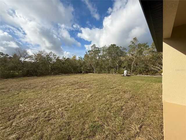 30260 W THYME AVENUE, Eustis, FL 32736