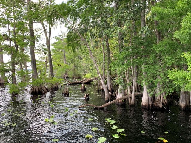 30260 W THYME AVENUE, Eustis, FL 32736