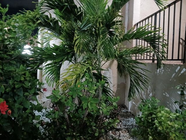 721 Lori Drive 309, Palm Springs, FL 33461