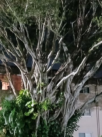 721 Lori Drive 309, Palm Springs, FL 33461