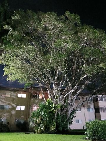 721 Lori Drive 309, Palm Springs, FL 33461