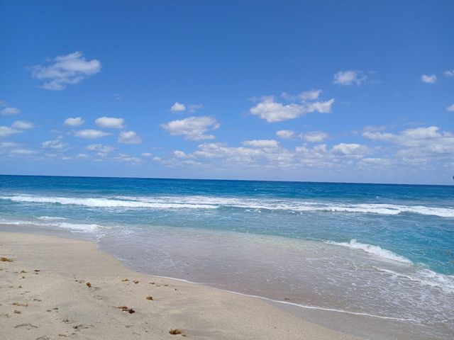 721 Lori Drive 309, Palm Springs, FL 33461