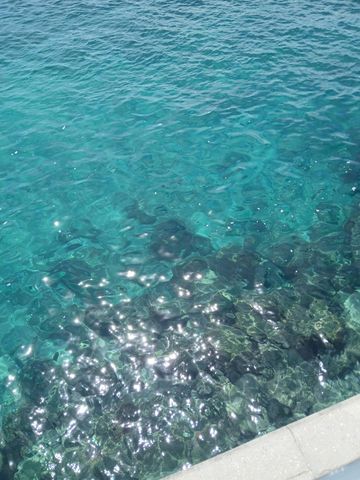 721 Lori Drive 309, Palm Springs, FL 33461