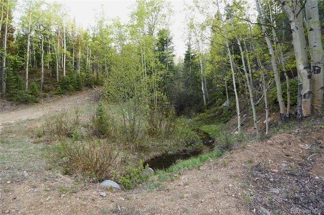 000 Trail Creek Road, Idaho Springs, CO 80452