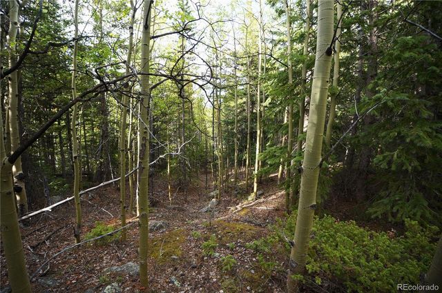 000 Trail Creek Road, Idaho Springs, CO 80452