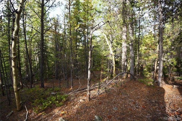 000 Trail Creek Road, Idaho Springs, CO 80452
