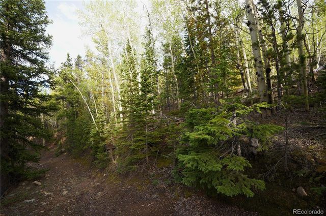 000 Trail Creek Road, Idaho Springs, CO 80452