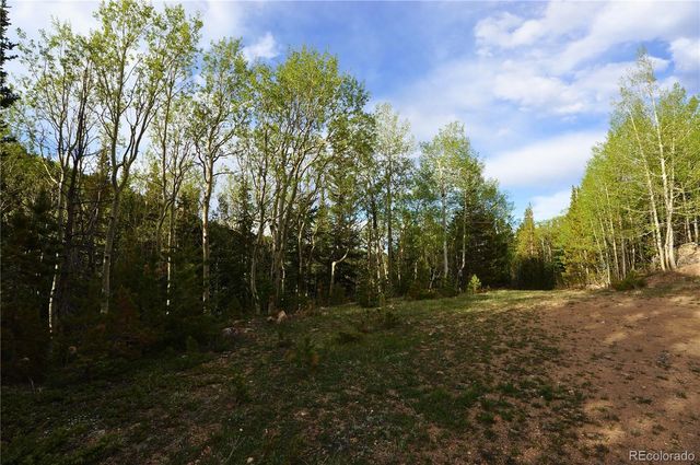 000 Trail Creek Road, Idaho Springs, CO 80452