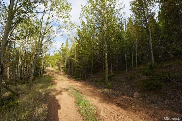 000 Trail Creek Road, Idaho Springs, CO 80452