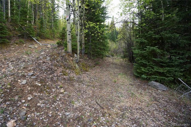 000 Trail Creek Road, Idaho Springs, CO 80452