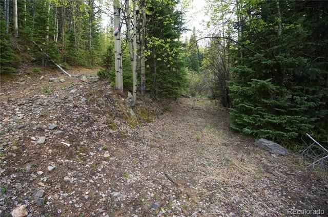 000 Trail Creek Road, Idaho Springs, CO 80452
