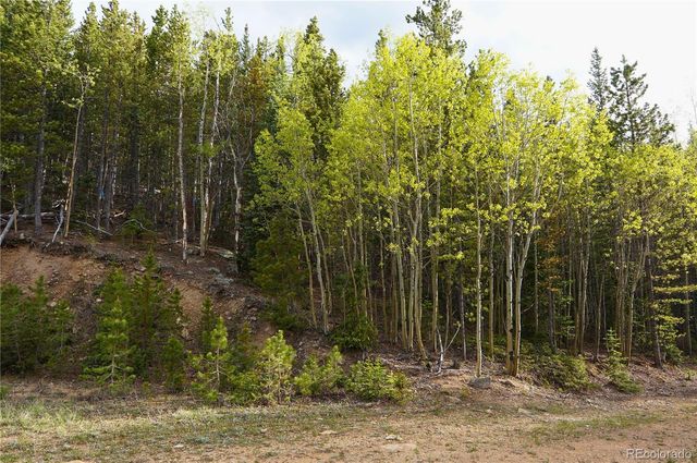 000 Trail Creek Road, Idaho Springs, CO 80452