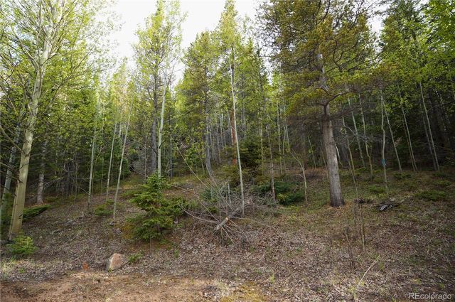 000 Trail Creek Road, Idaho Springs, CO 80452