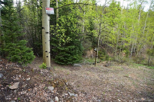 000 Trail Creek Road, Idaho Springs, CO 80452