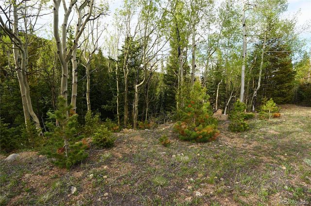 000 Trail Creek Road, Idaho Springs, CO 80452