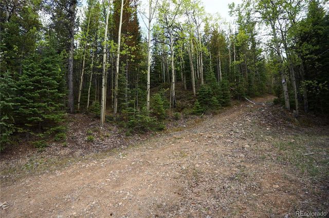 000 Trail Creek Road, Idaho Springs, CO 80452