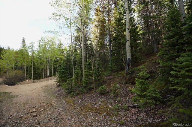 000 Trail Creek Road, Idaho Springs, CO 80452