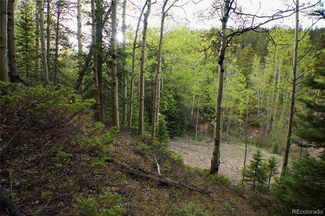 000 Trail Creek Road, Idaho Springs, CO 80452