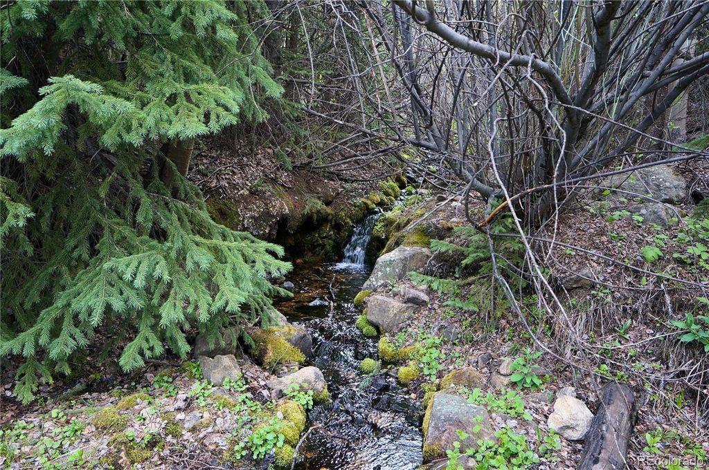 000 Trail Creek Road, Idaho Springs, CO 80452