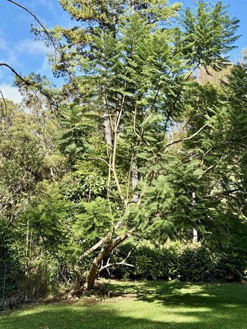 2640 Olinda Rd, Makawao, HI 96768