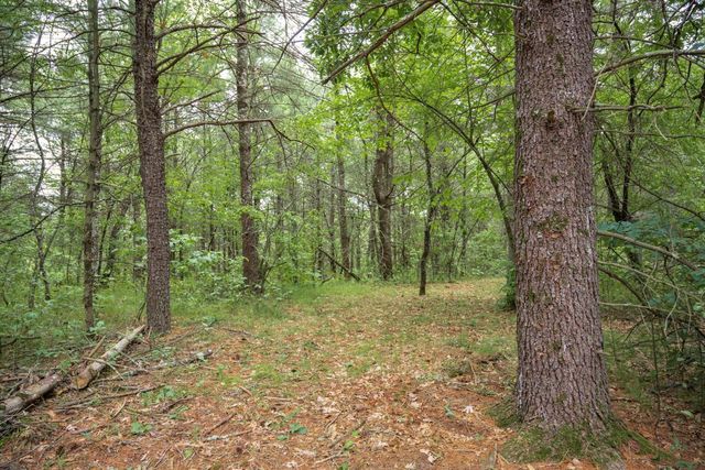 907 W Trout Valley Road, Hancock, WI 54943