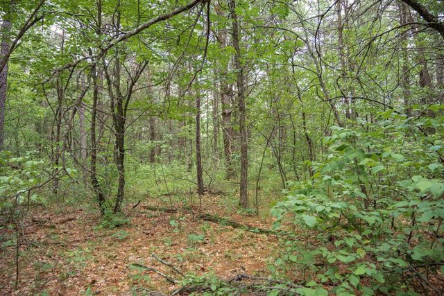 907 W Trout Valley Road, Hancock, WI 54943