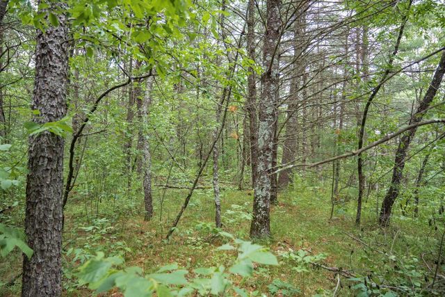 907 W Trout Valley Road, Hancock, WI 54943
