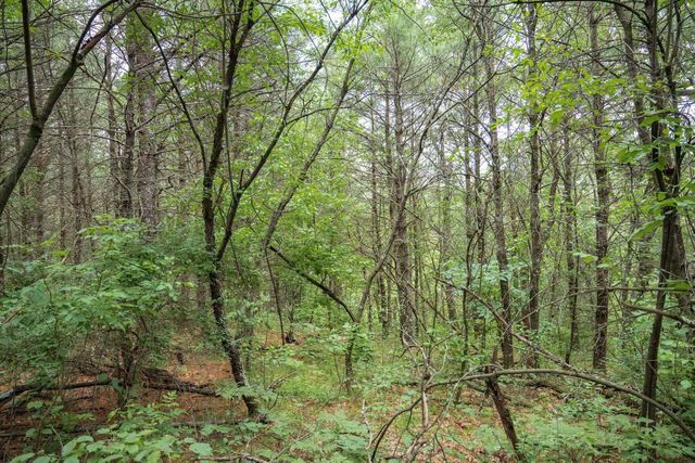 907 W Trout Valley Road, Hancock, WI 54943
