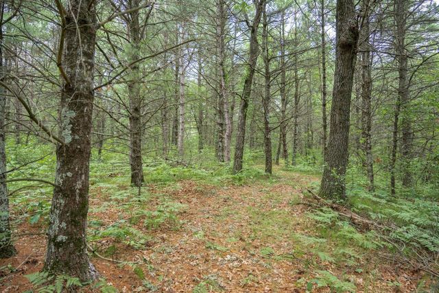 907 W Trout Valley Road, Hancock, WI 54943
