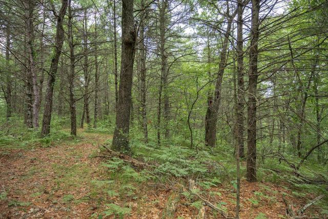 907 W Trout Valley Road, Hancock, WI 54943