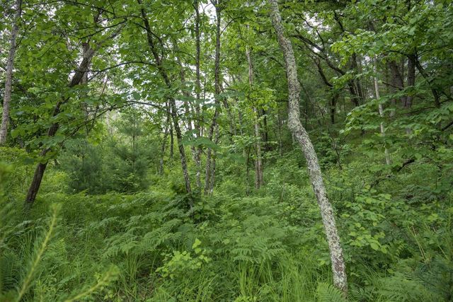 907 W Trout Valley Road, Hancock, WI 54943