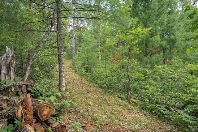 907 W Trout Valley Road, Hancock, WI 54943