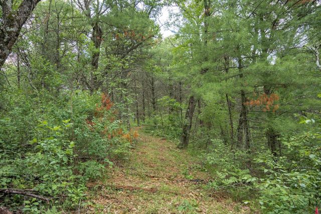 907 W Trout Valley Road, Hancock, WI 54943