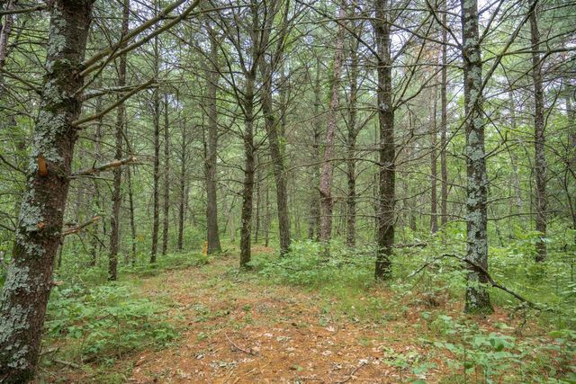 907 W Trout Valley Road, Hancock, WI 54943