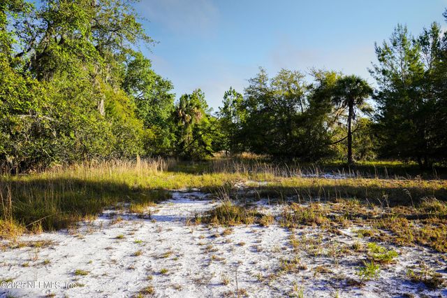356 DRAYTON ISLAND Road, Georgetown, FL 32139