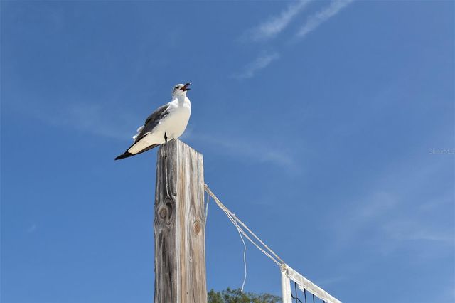 1005 PELICAN COURT, Bradenton, FL 34209