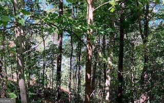 LOT 140 Red Oak Trail 140, Ellijay, GA 30540