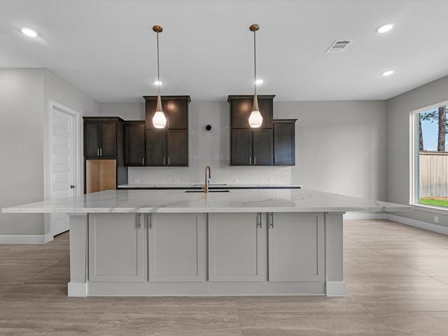 26917 South Ranch House Road, Montgomery, TX 77316