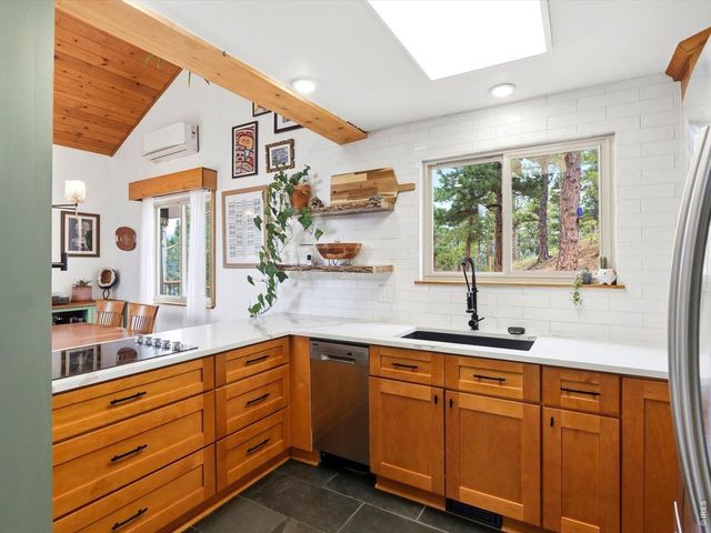 230 Alpine Dr, Nederland, CO 80466