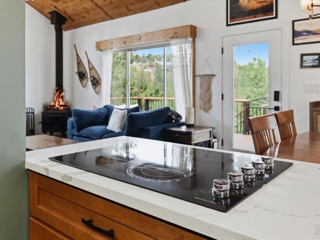 230 Alpine Dr, Nederland, CO 80466