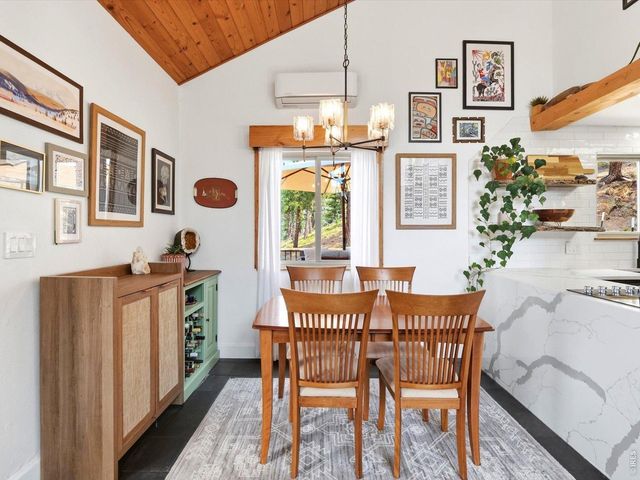 230 Alpine Dr, Nederland, CO 80466