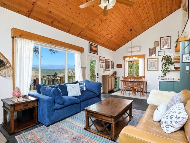 230 Alpine Dr, Nederland, CO 80466