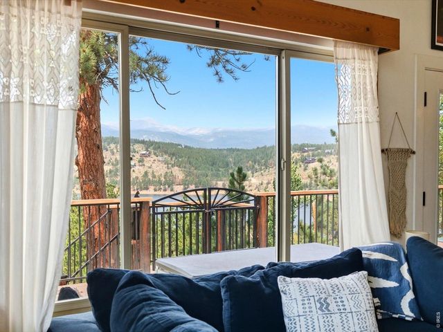 230 Alpine Dr, Nederland, CO 80466