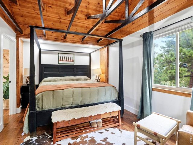 230 Alpine Dr, Nederland, CO 80466