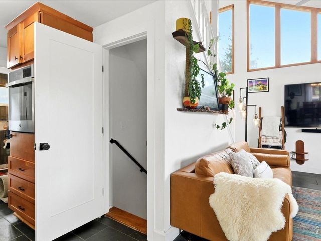 230 Alpine Dr, Nederland, CO 80466
