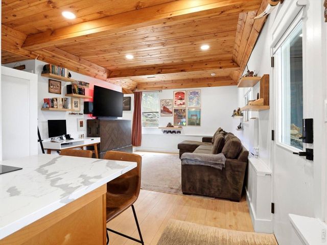 230 Alpine Dr, Nederland, CO 80466