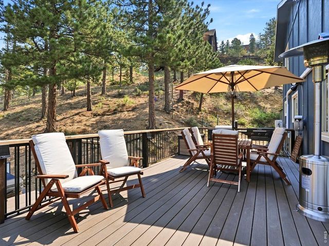 230 Alpine Dr, Nederland, CO 80466