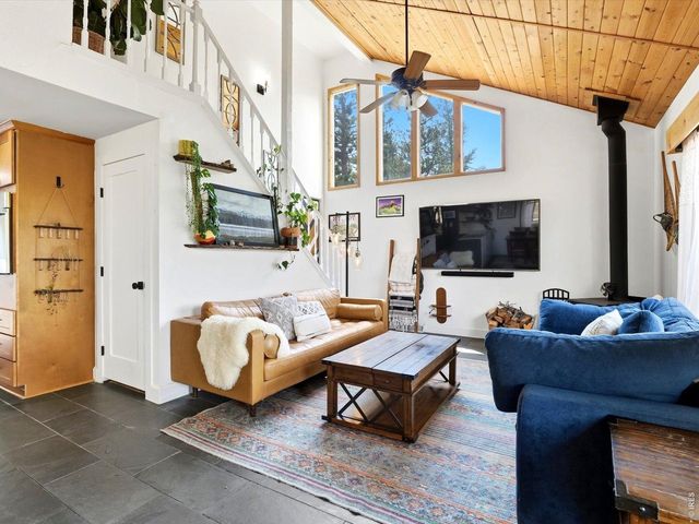 230 Alpine Dr, Nederland, CO 80466