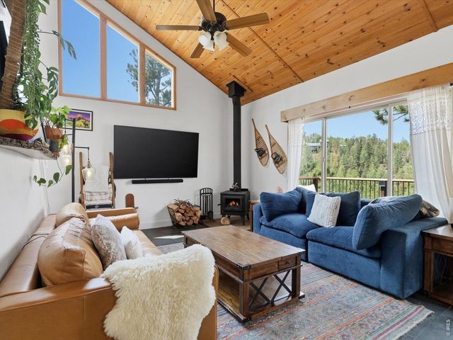 230 Alpine Dr, Nederland, CO 80466